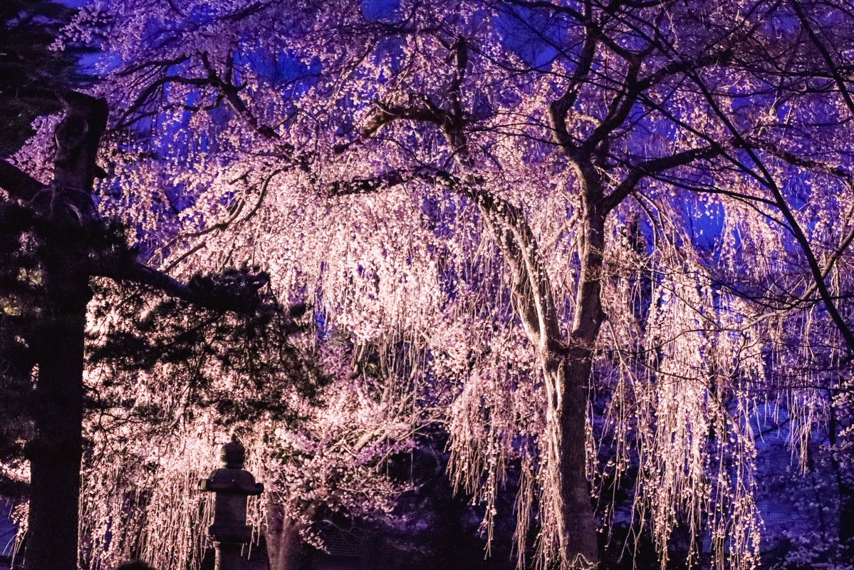 Ricky☺︎ tweet media