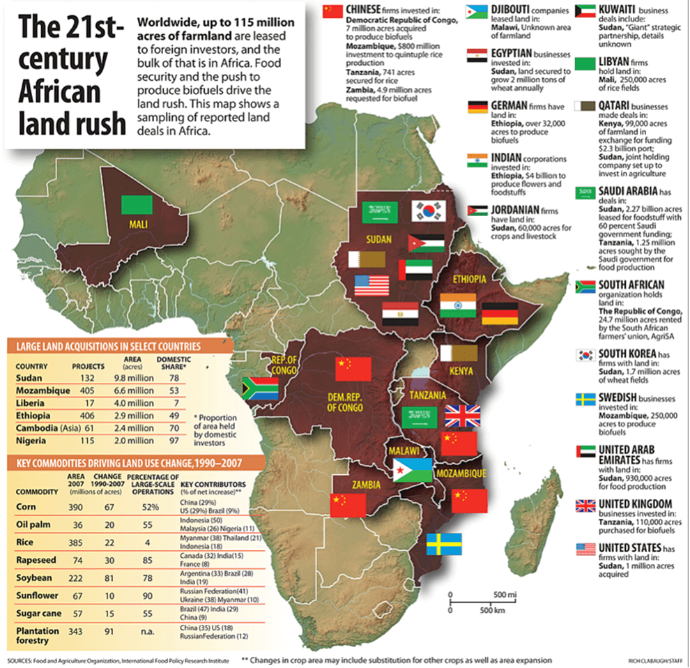 BarbieRabbie tweet media