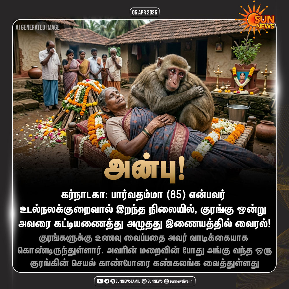 sunnewstamil's tweet image. குரங்கின் பாசத்தால் கண்கலங்கிய மக்கள்!

#SunNews | #Karnataka | #Monkey