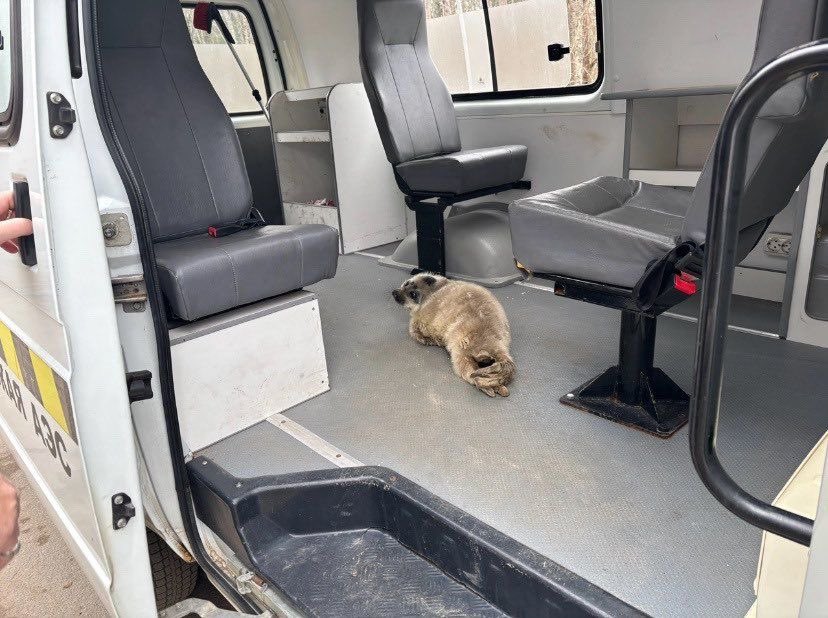 Katsunori 😇🐟🦭 tweet media