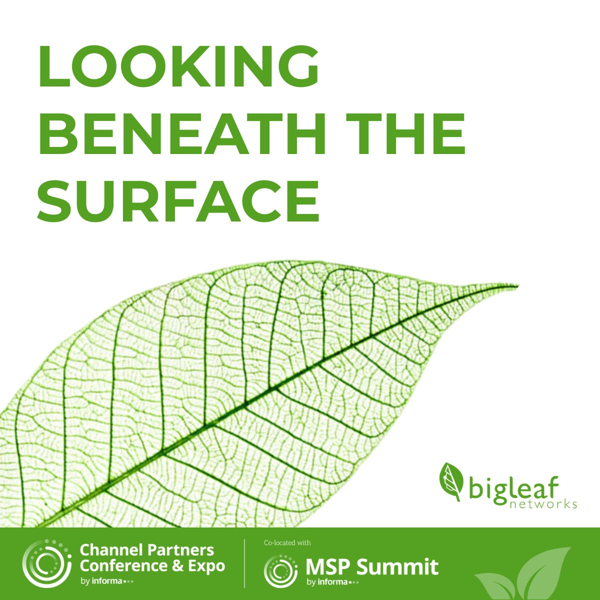 Bigleaf Networks tweet media