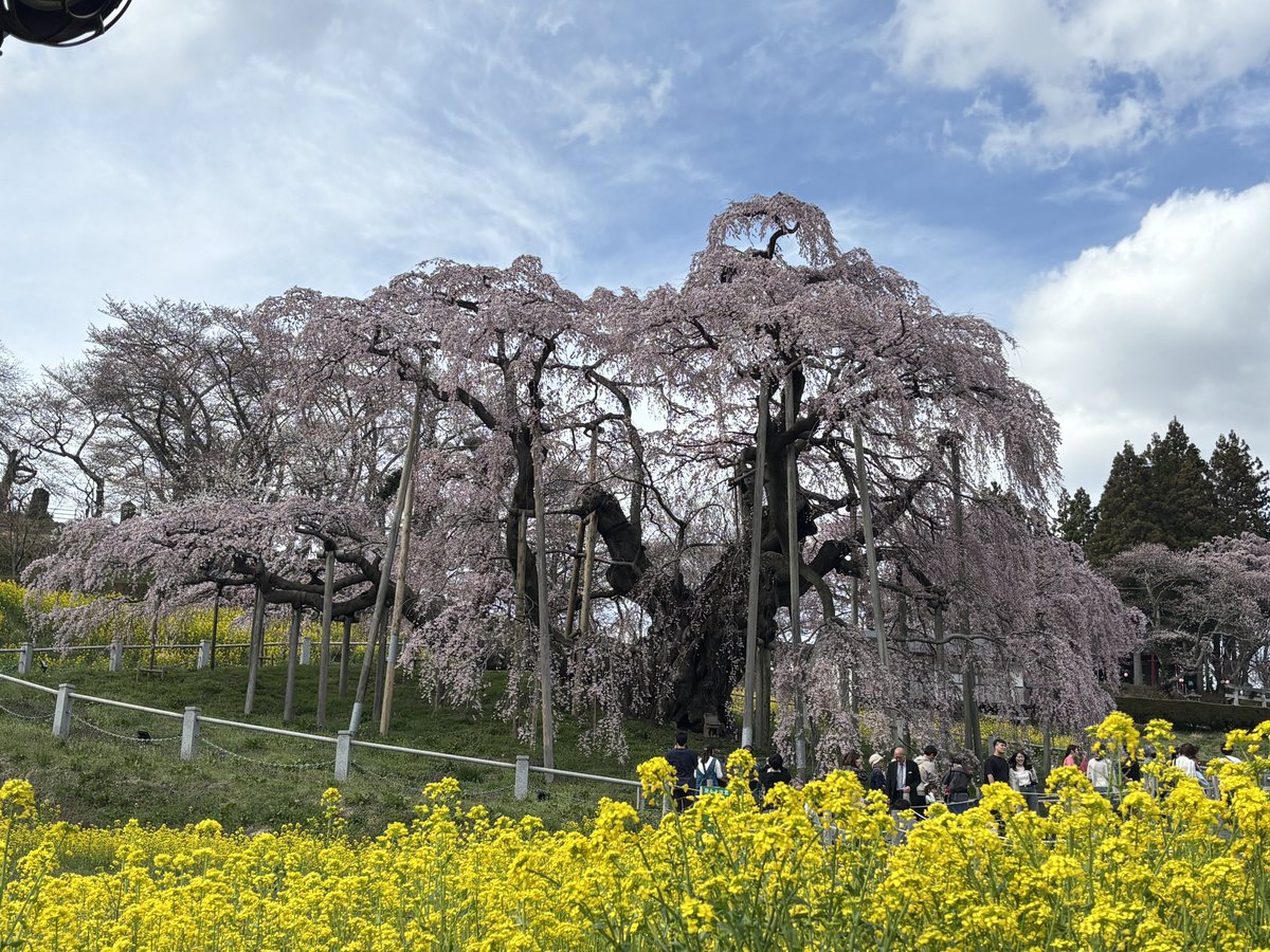 カネキ tweet media