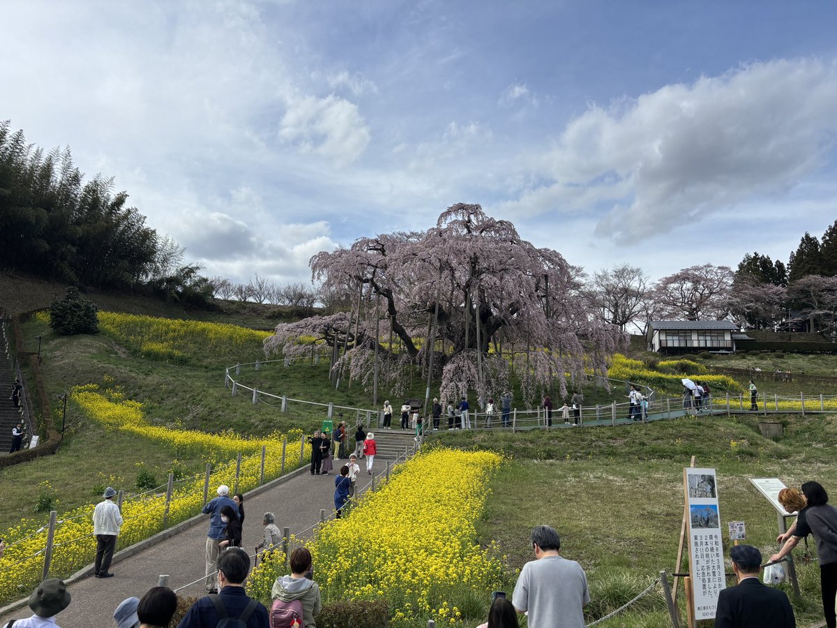 カネキ tweet media