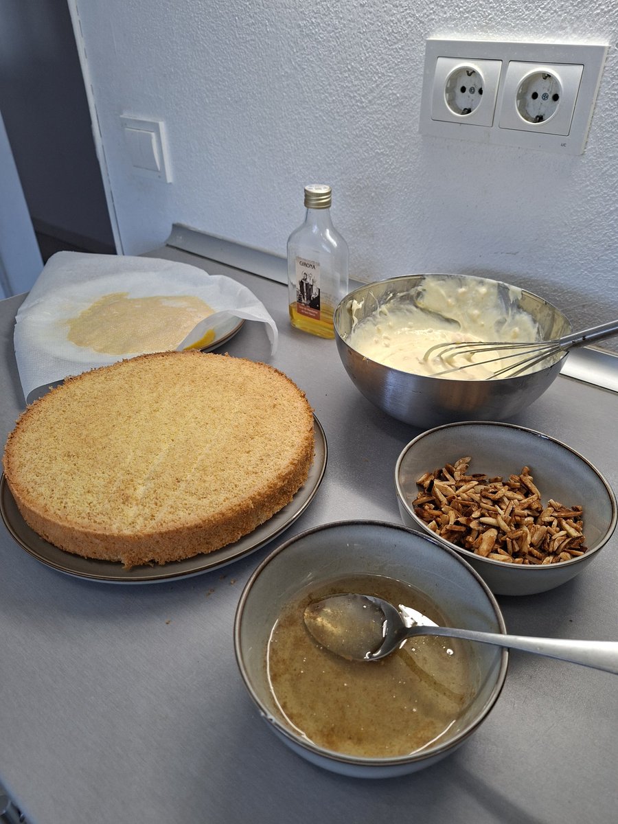 Ana Device 🎶📚🎬🪻 tweet media