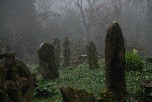 destiny 🦇 tweet media