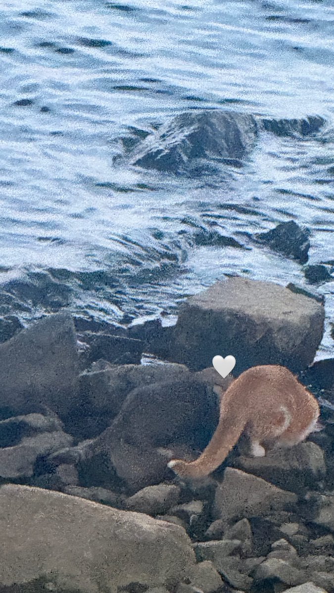 소정이.zip tweet media