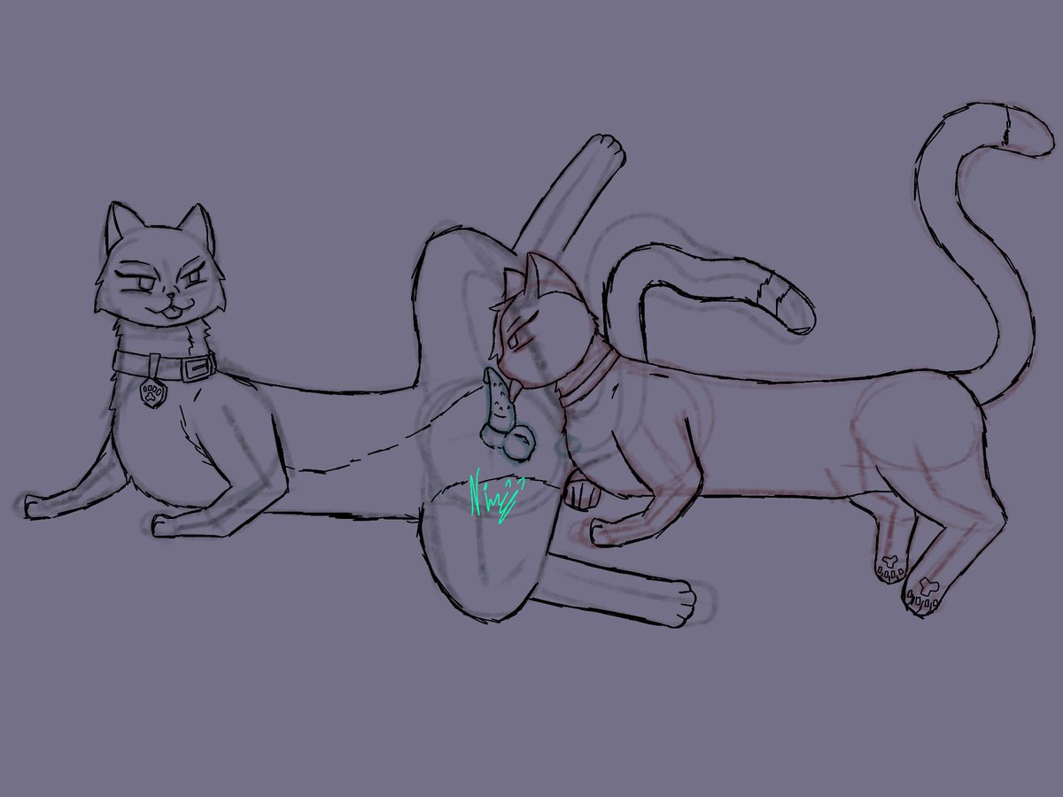 ๐พ๐ผ๐ง๐๐ โ๐๐๐๐ tweet media