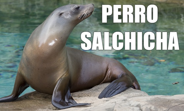 Para mi ya no sois Leones Marinos