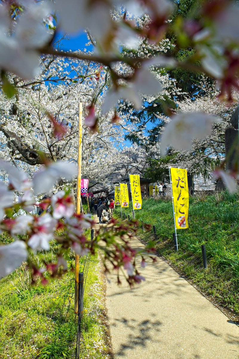 うにたん tweet media