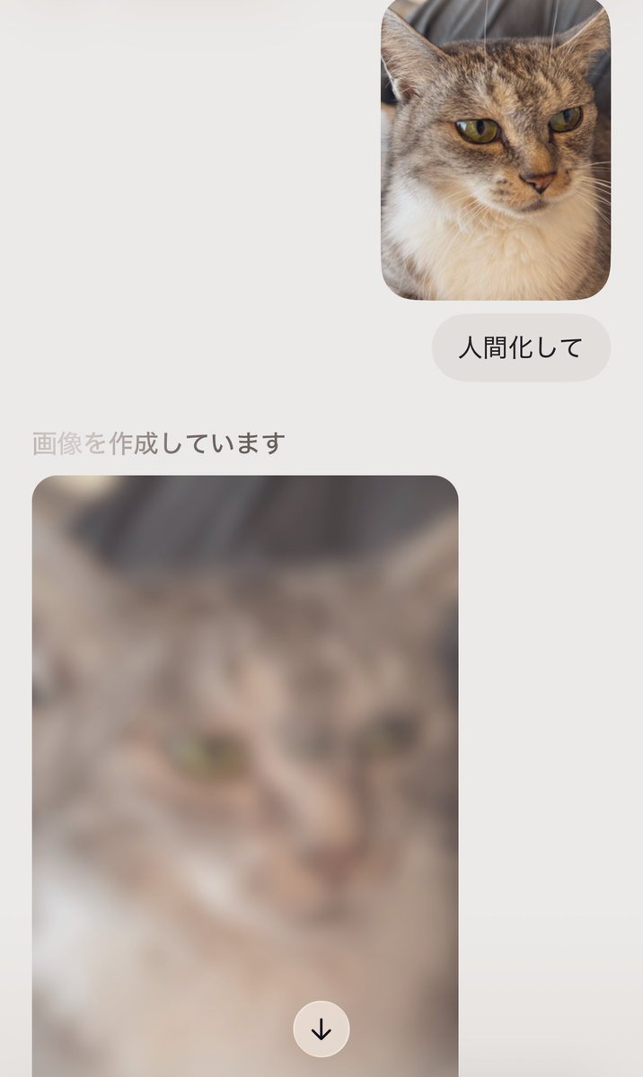 ココニャ@猫写真集、発売中！ tweet media