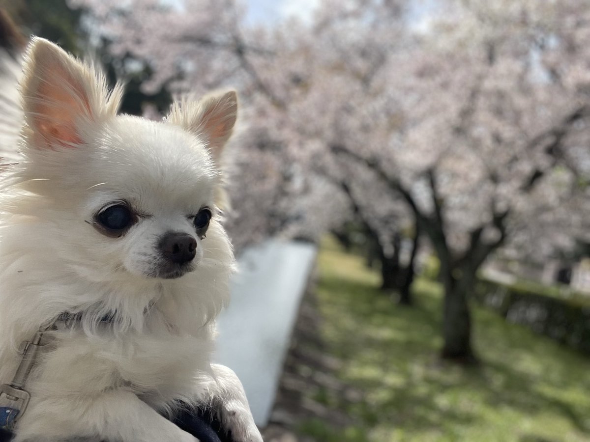 くぅちゃん