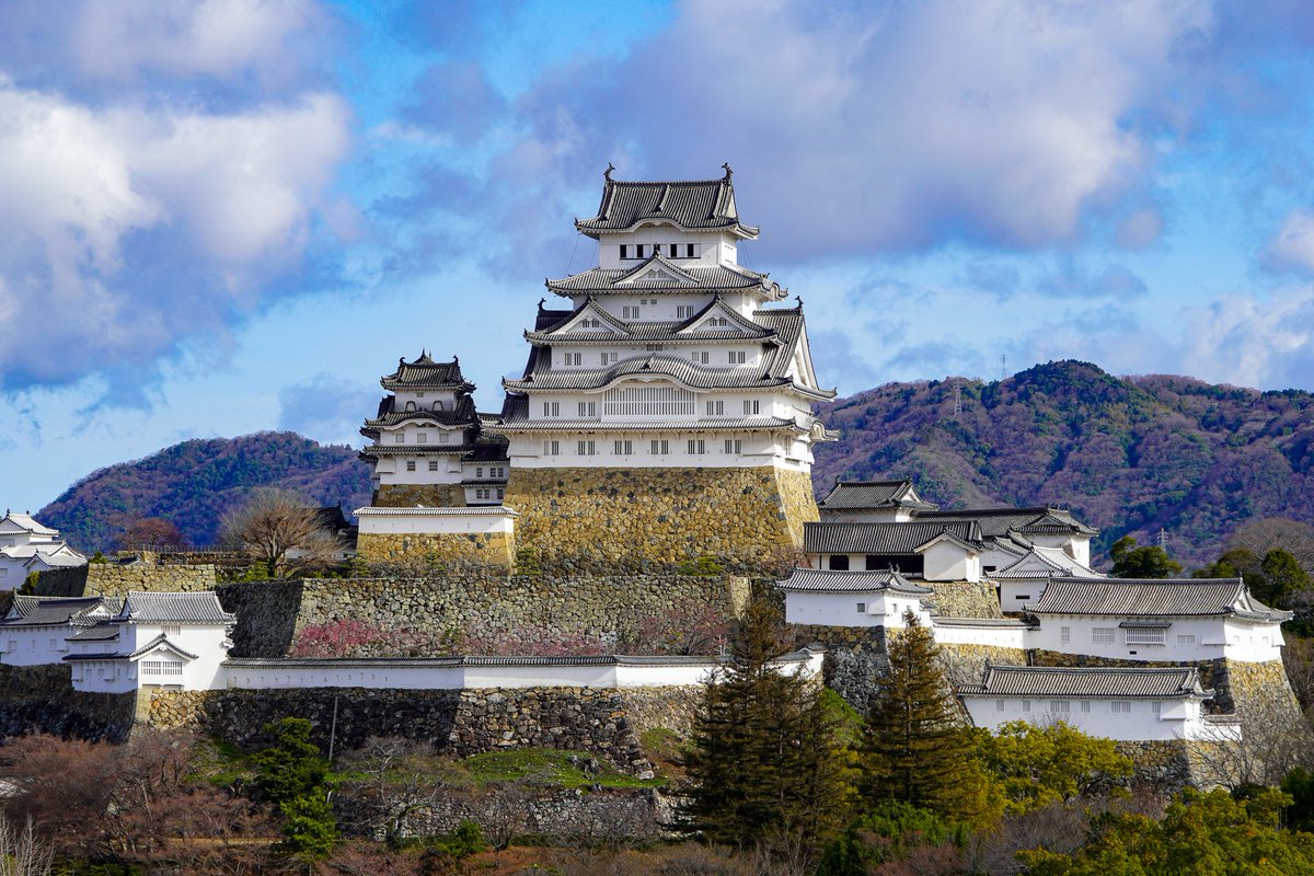 ゆずたそ@ゆずた散歩 tweet media