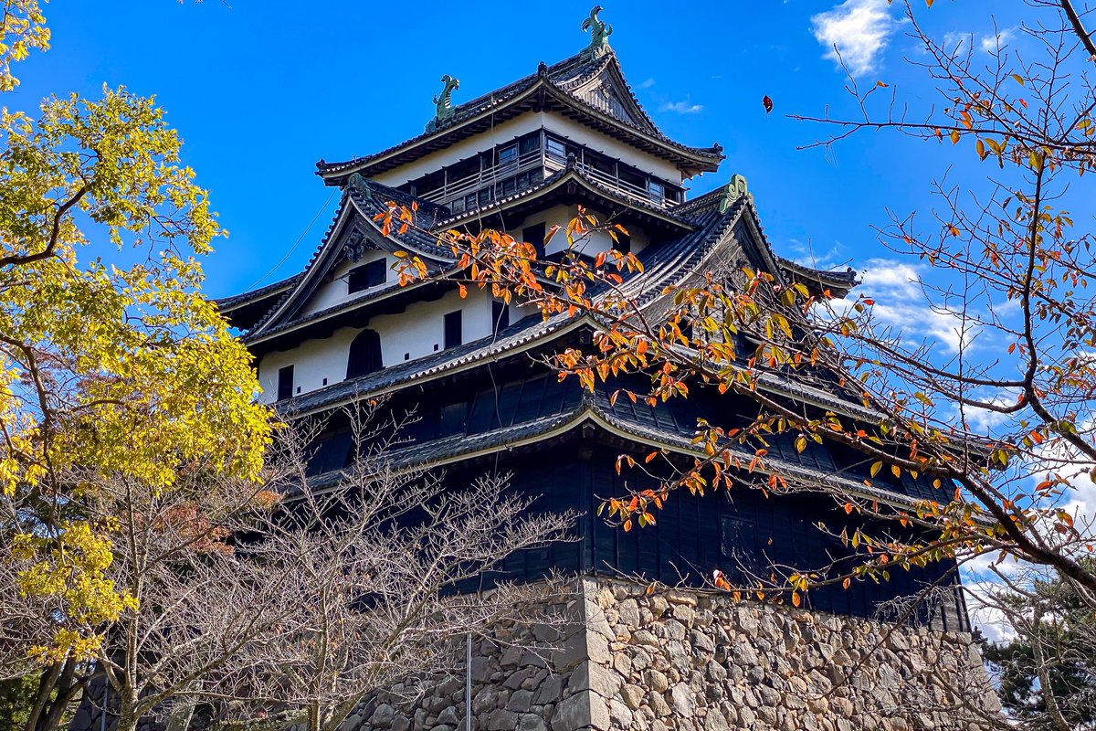 ゆずたそ@ゆずた散歩 tweet media