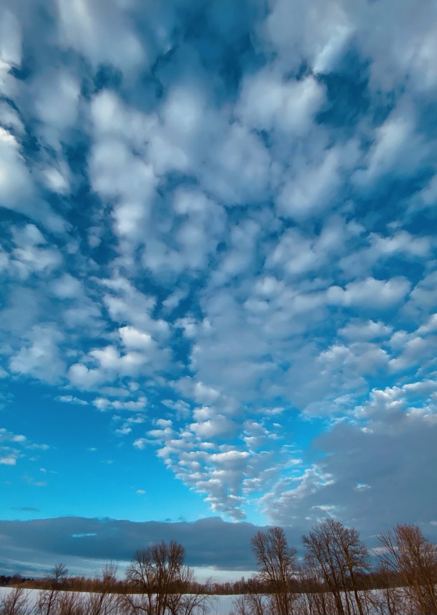 Danielle Bellemare tweet media