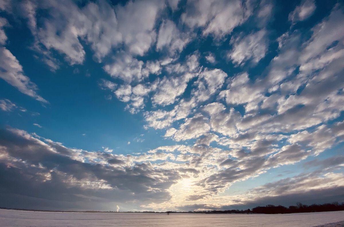 Danielle Bellemare tweet media