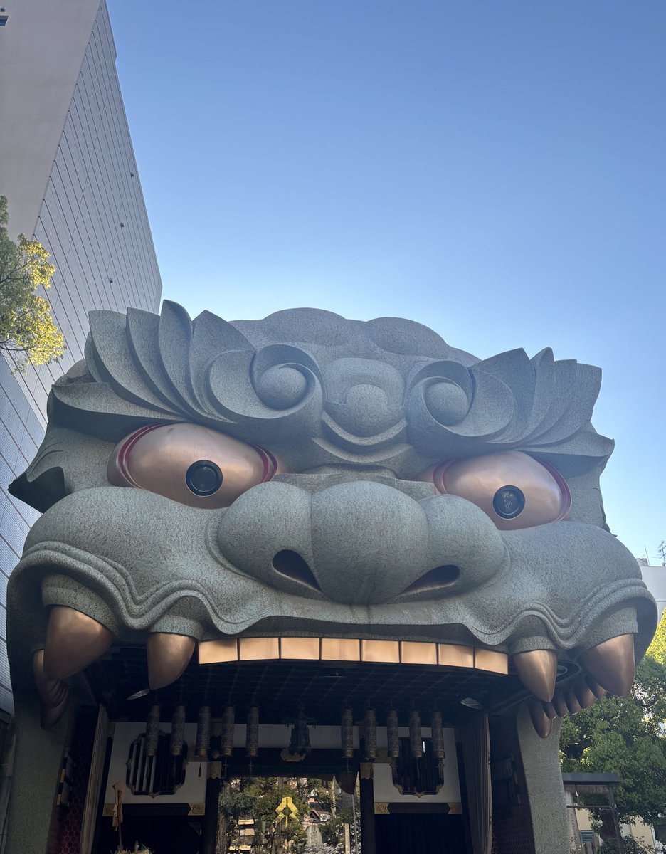 えぼりゅーしょん🖤⋆͛*͛🩷 tweet media