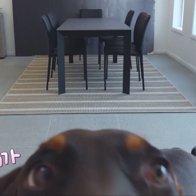 ✮⋆˙ tweet media