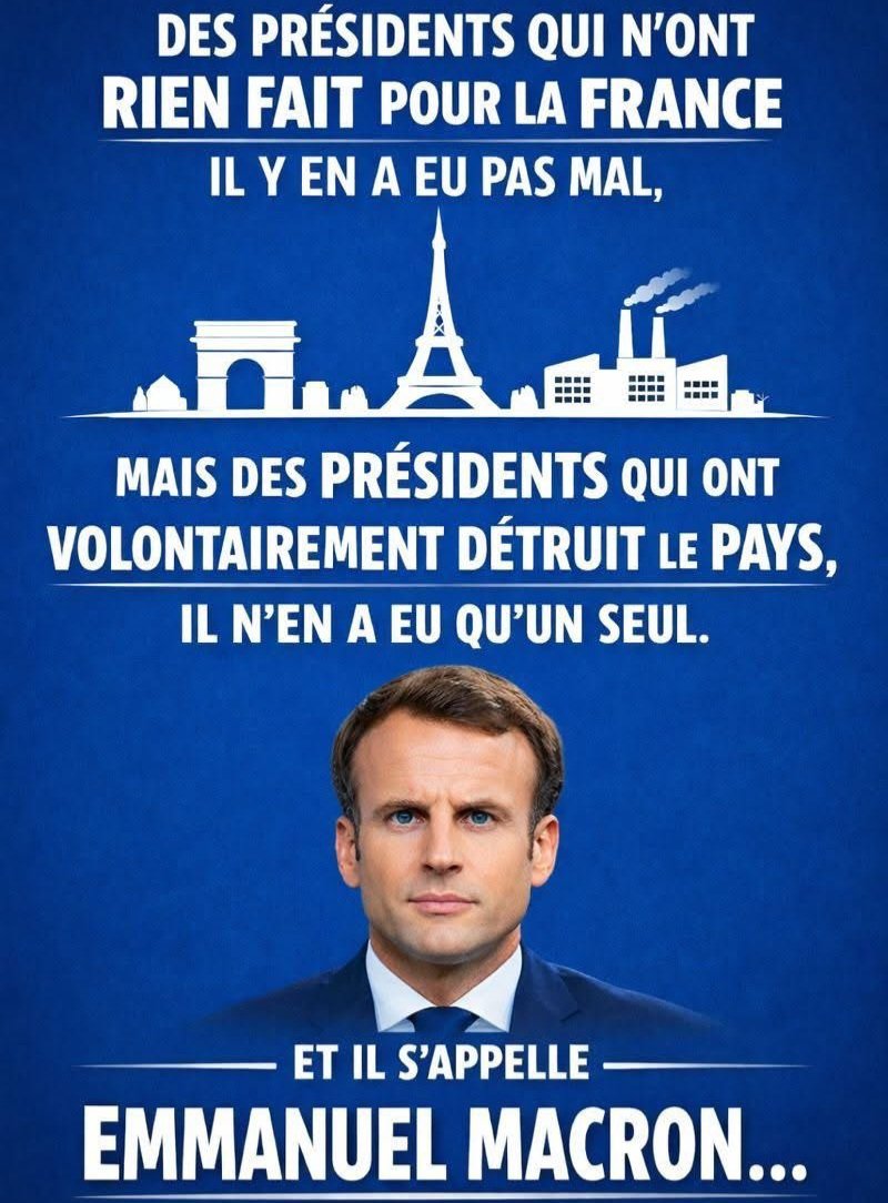 rando.73 tweet media