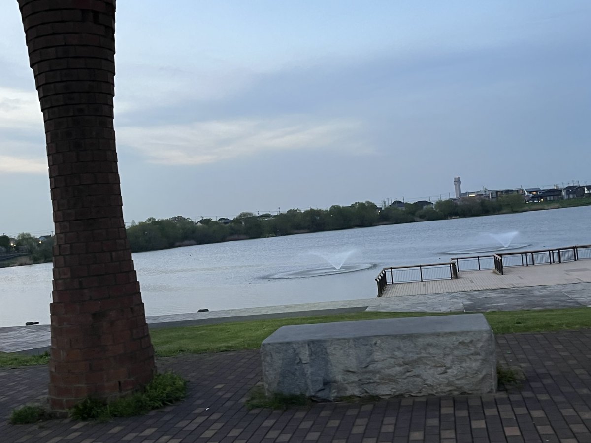 にょむん tweet media