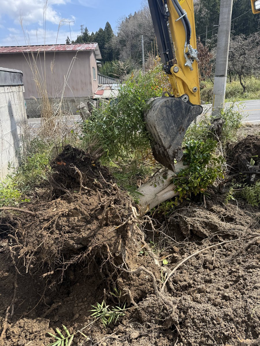 くまっち@那須大家 tweet media