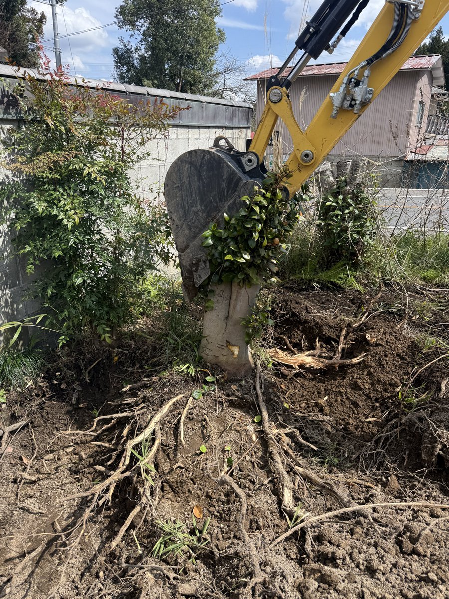 くまっち@那須大家 tweet media