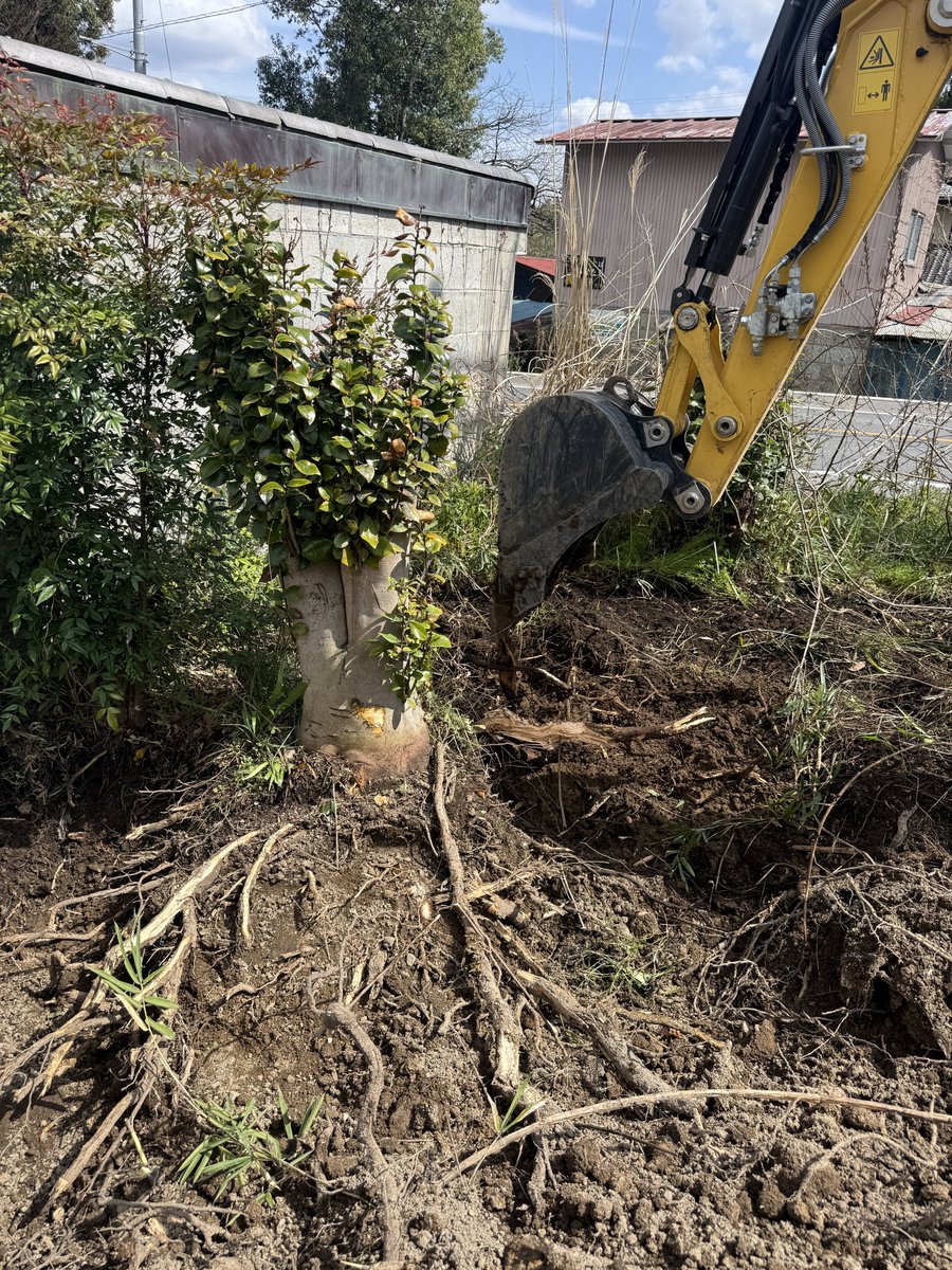 くまっち@那須大家 tweet media