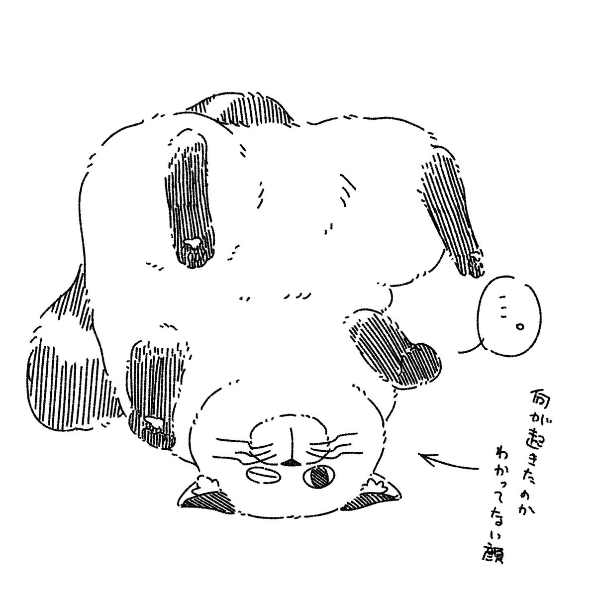 mochi@5/5東７G51a tweet media