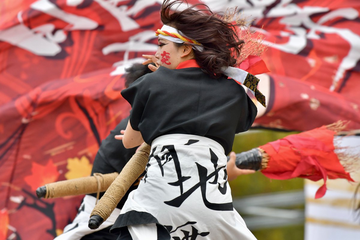 てりー★よさこい写真専用垢 tweet media