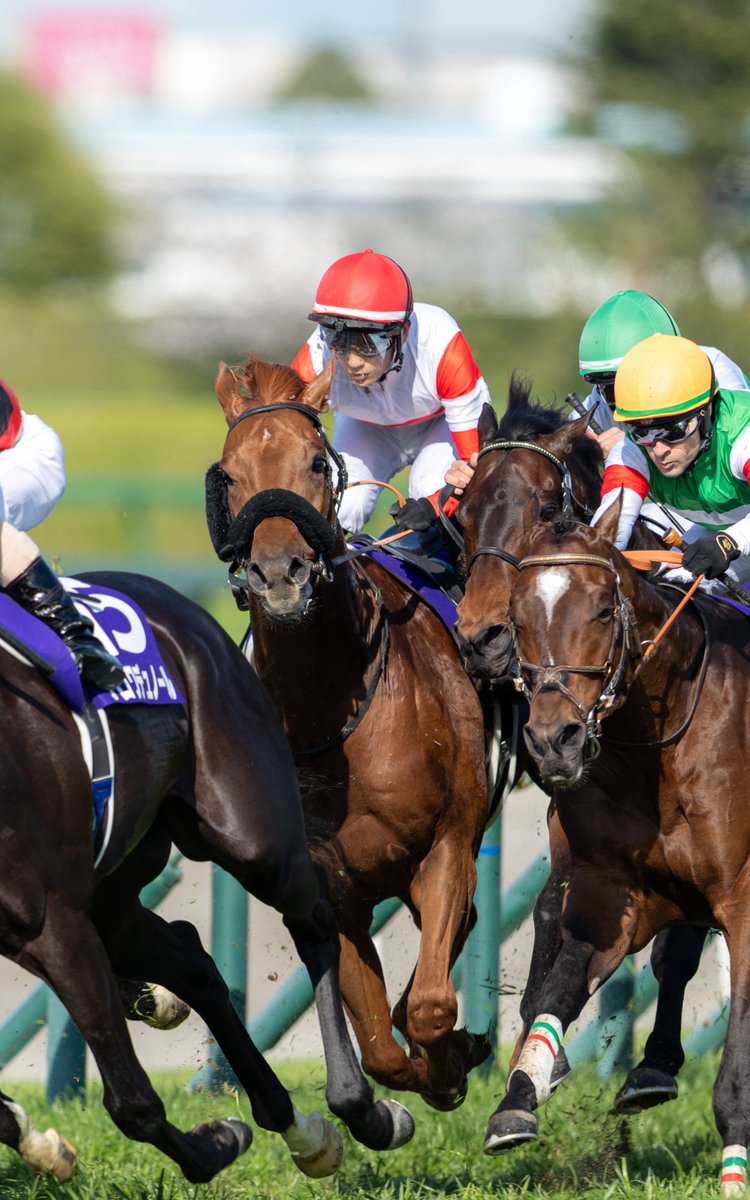 ぉりゅぅ tweet media