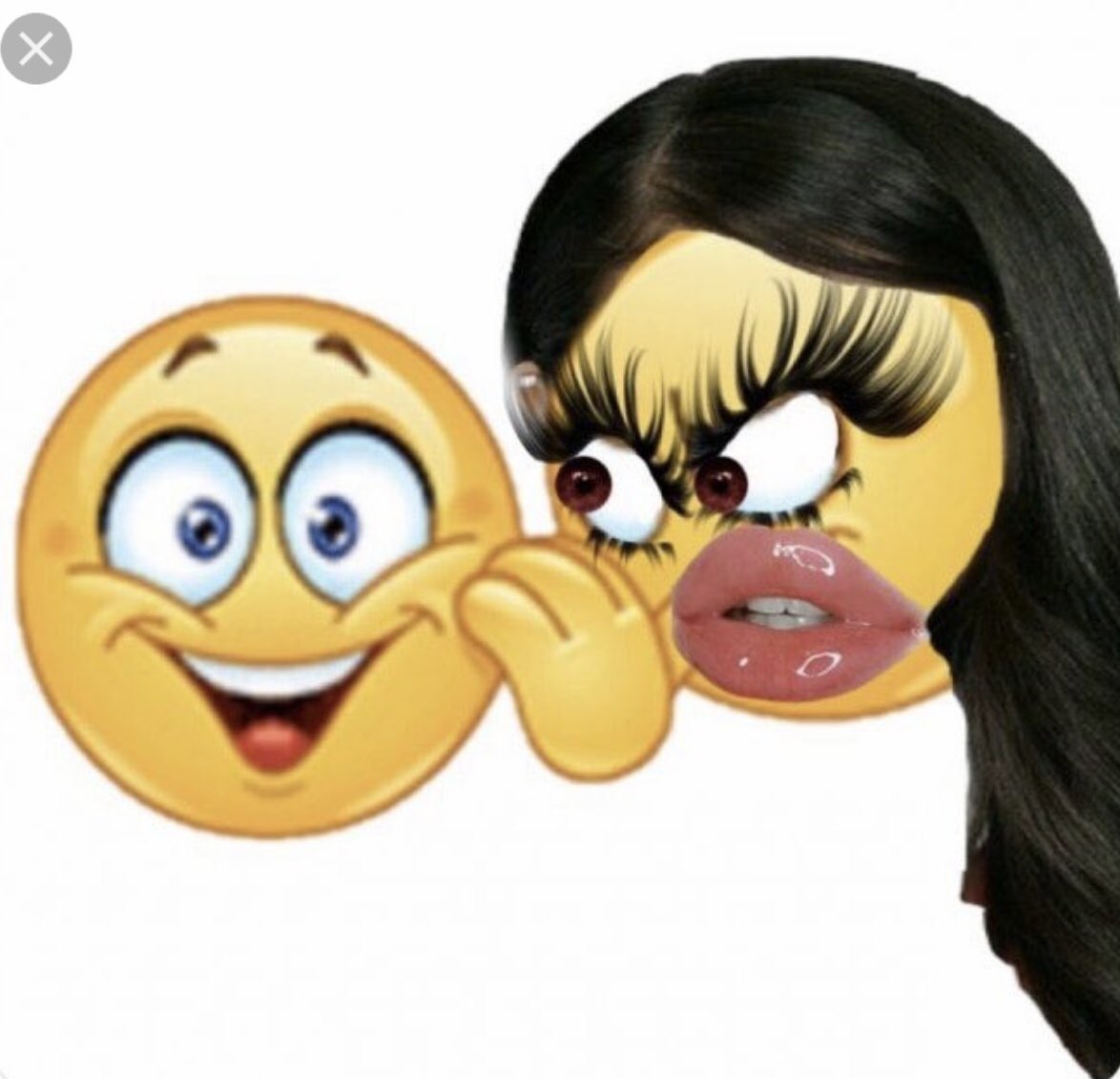 엉터리쌩고기 tweet media