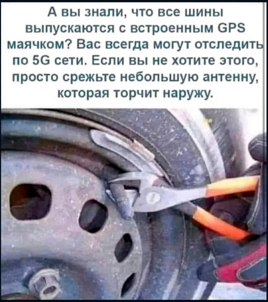 MCMLXXXIV™ tweet media