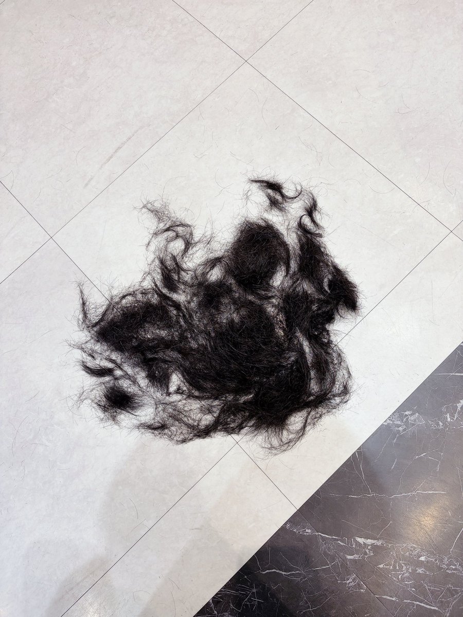 おがわ@ tweet media