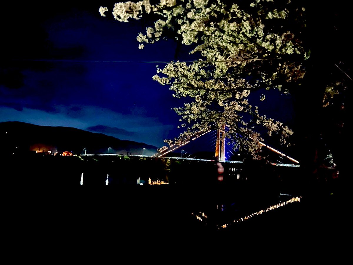 Labi_ai's tweet photo. 夜��行って来た🌸
夜景撮り📸
#らぶあび #アイちゃま #スナップ写真 #夜桜 #花見 #花見スポット #雲南市桜まつり #島根県 #JR木��駅 https://t.co/tcLauWUkMu