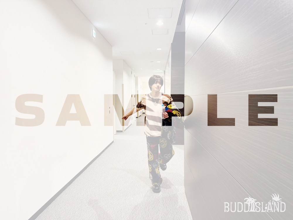 BUDDiiSLAND tweet media