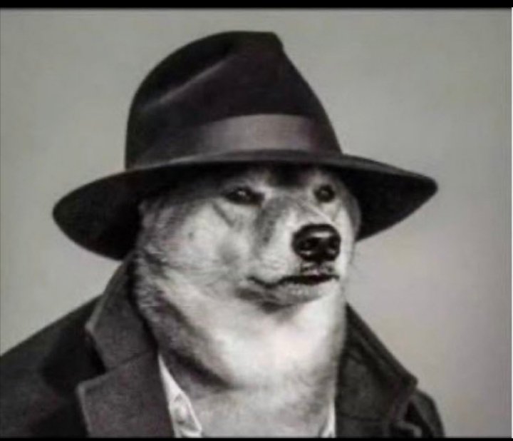 زياد العطاوي tweet media