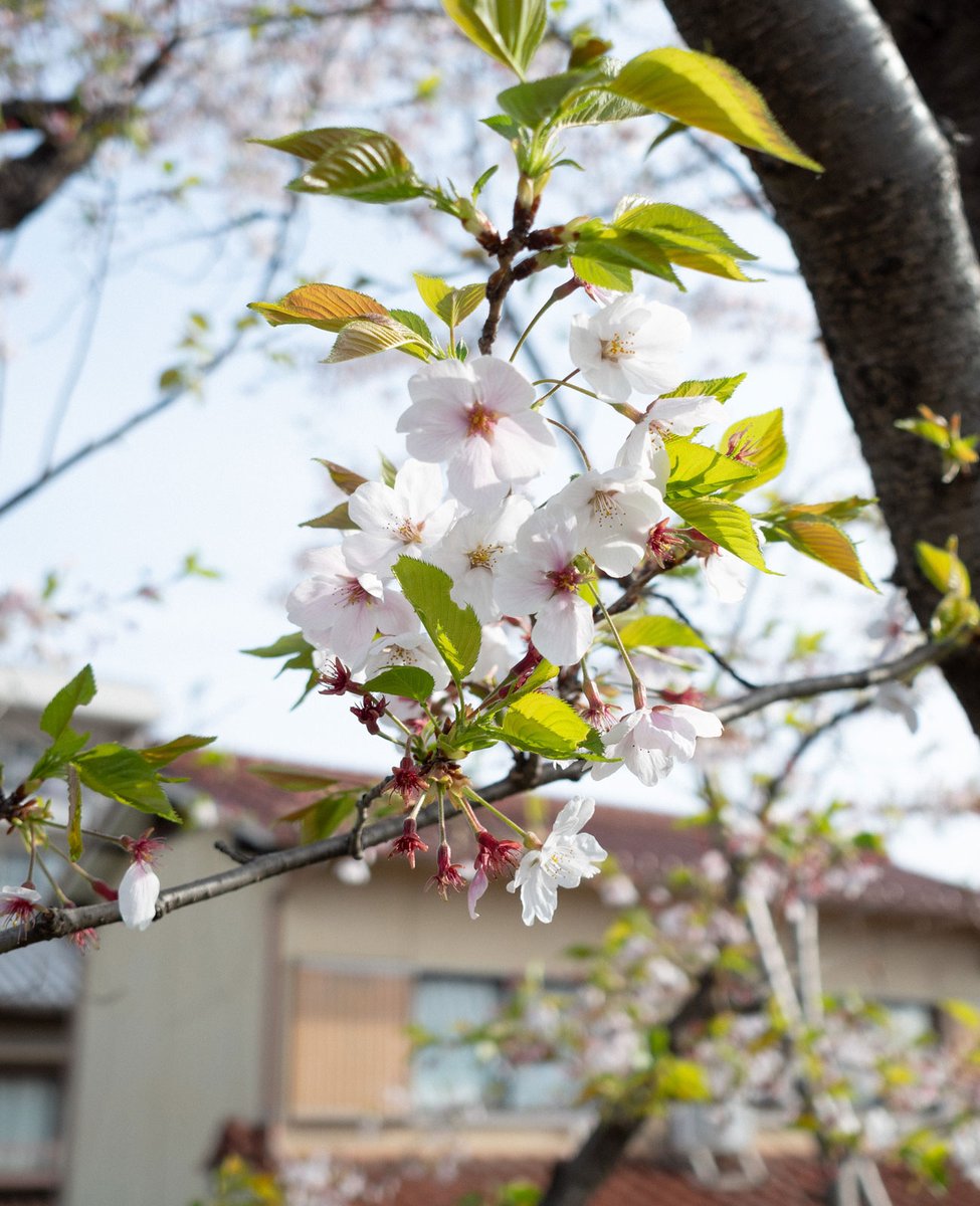 暦生活 tweet media