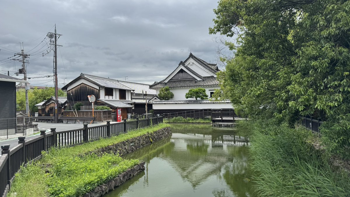 サライ（日本創生TV）YouTube登録者10万人 tweet media