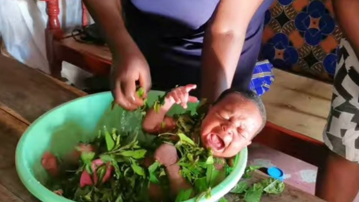 Your Herbal Stroke Specialist tweet media