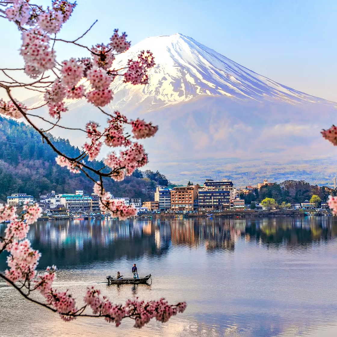 Alessandro Palombo tweet media