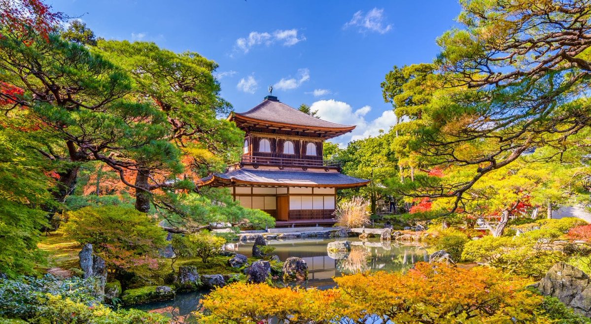 Alessandro Palombo tweet media