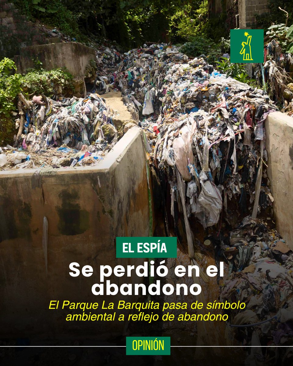 Diario Libre tweet media