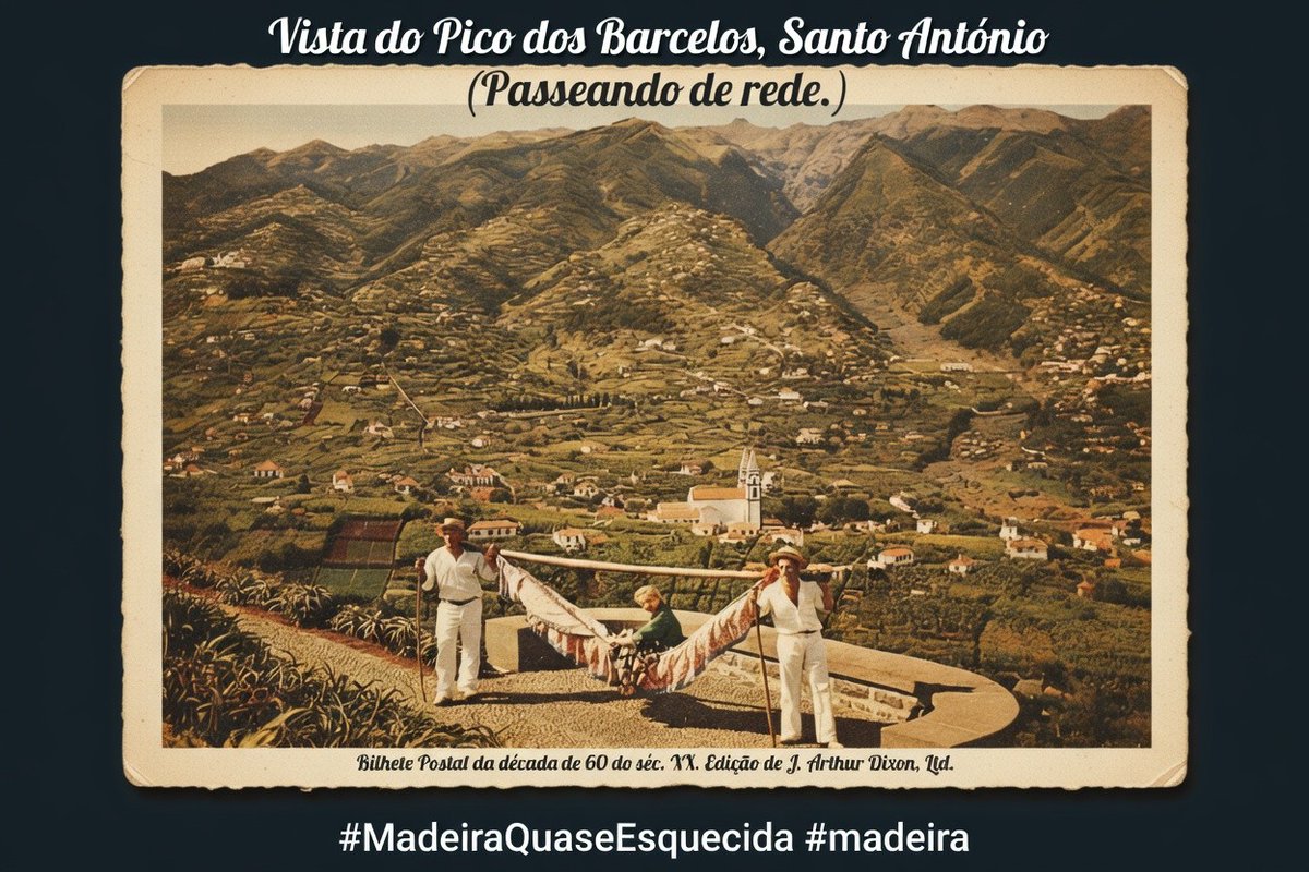 Madeira Island / Ilha da Madeira tweet media
