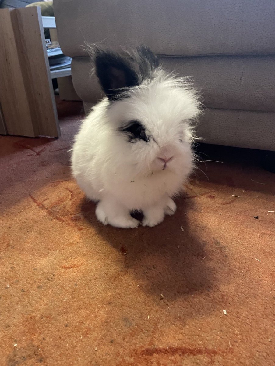 Spencer 1910 und Katrin tweet media