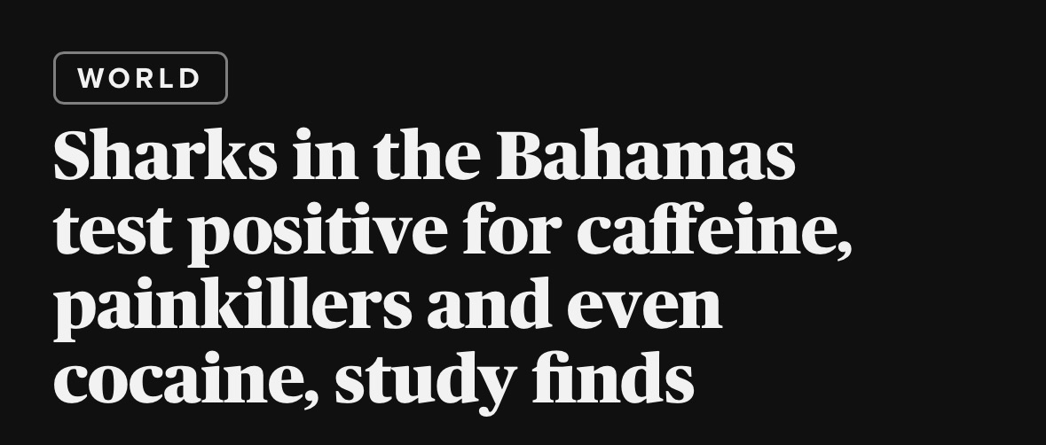 bschoolboogaloo tweet media