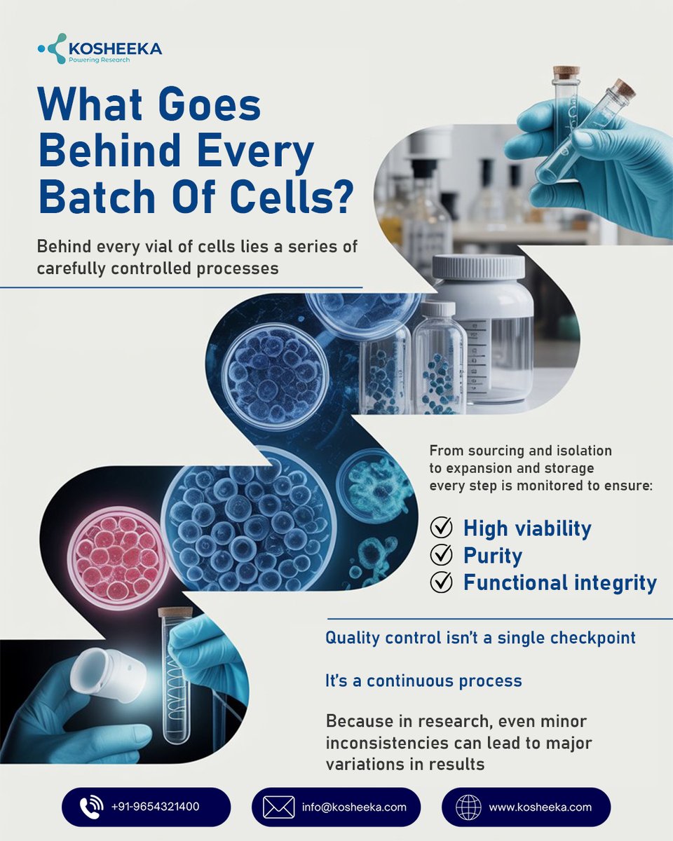 kosheeka tweet media