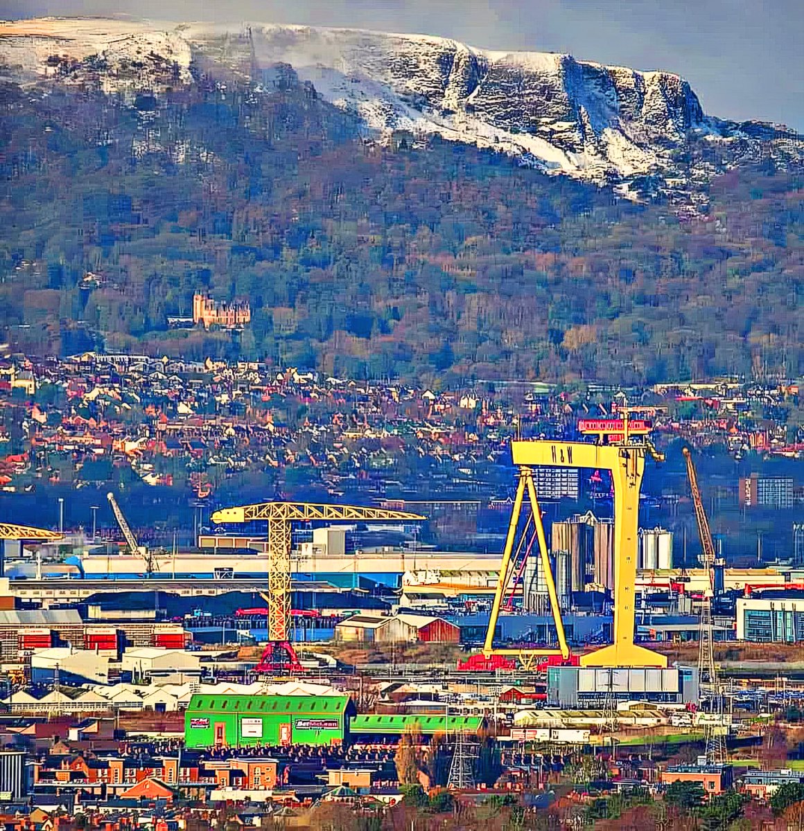 Modesto Silo tweet media