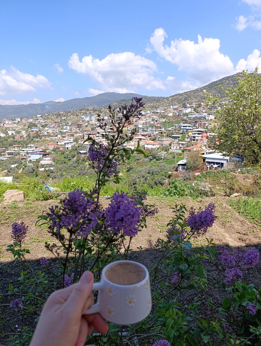 💙Mavii💙 tweet media