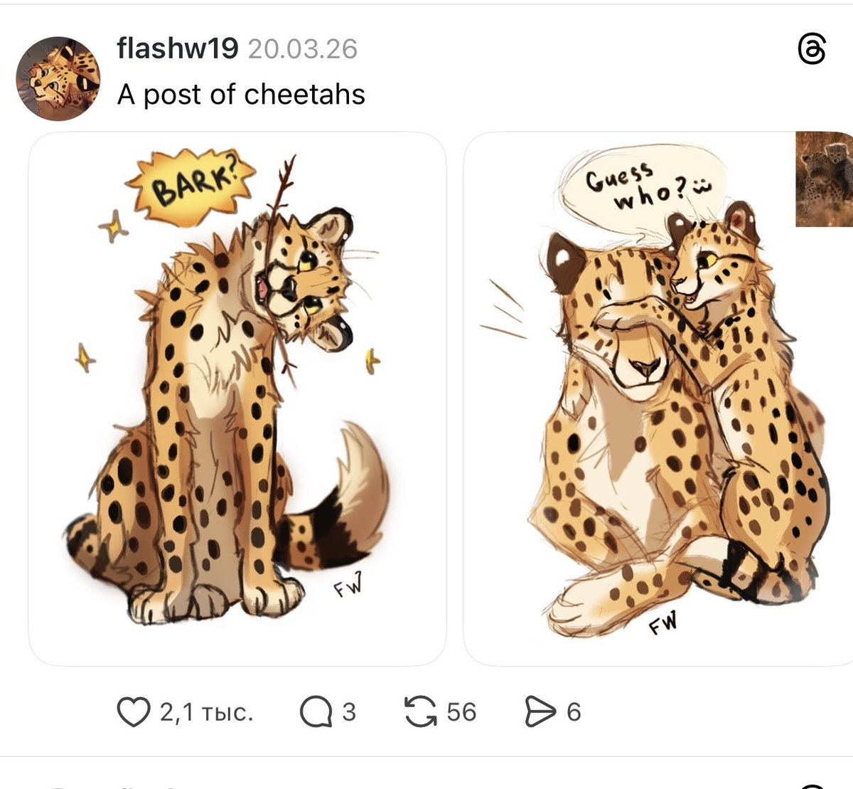 Flash W (open for commissions) tweet media