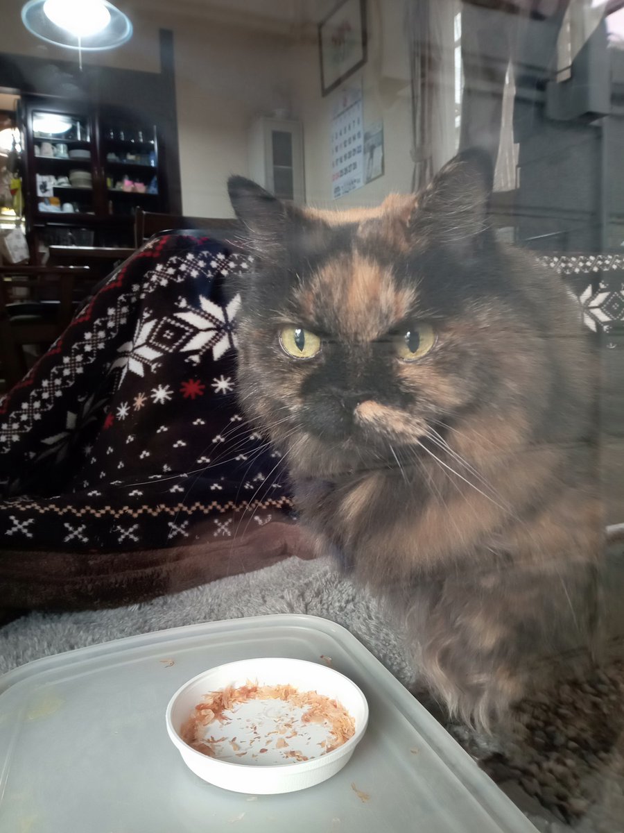 だげじー👷🌻💘　直ぐにポスト出来なくなるがなぁ😮‍💨いいねはしていくのでスンマソン🙇 tweet media