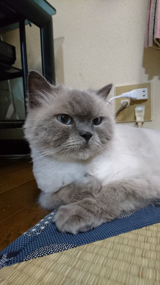 だげじー👷🌻💘　直ぐにポスト出来なくなるがなぁ😮‍💨いいねはしていくのでスンマソン🙇 tweet media